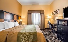 Comfort Inn Ballard-Roosevelt